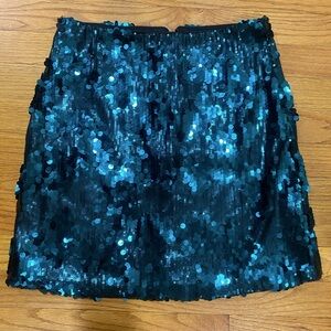 Medium Green sequin skirt